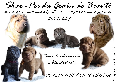 du grain de beauté - Les bébés d'Etincelle poussent ! !