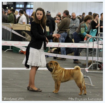 du grain de beauté - BORDEAUX 2013