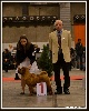  - BRUSSEL DOG SHOW 2012 