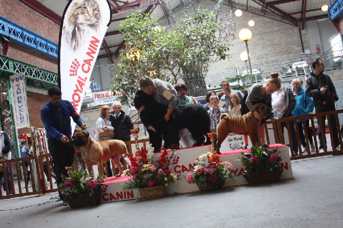 du grain de beauté - Maubeuge 2014