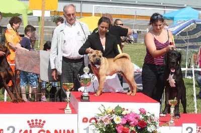 du grain de beauté - Best In Show !!!