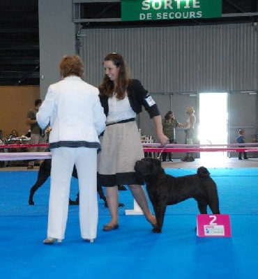 du grain de beauté - CHAMPIONNAT DE FRANCE 2012