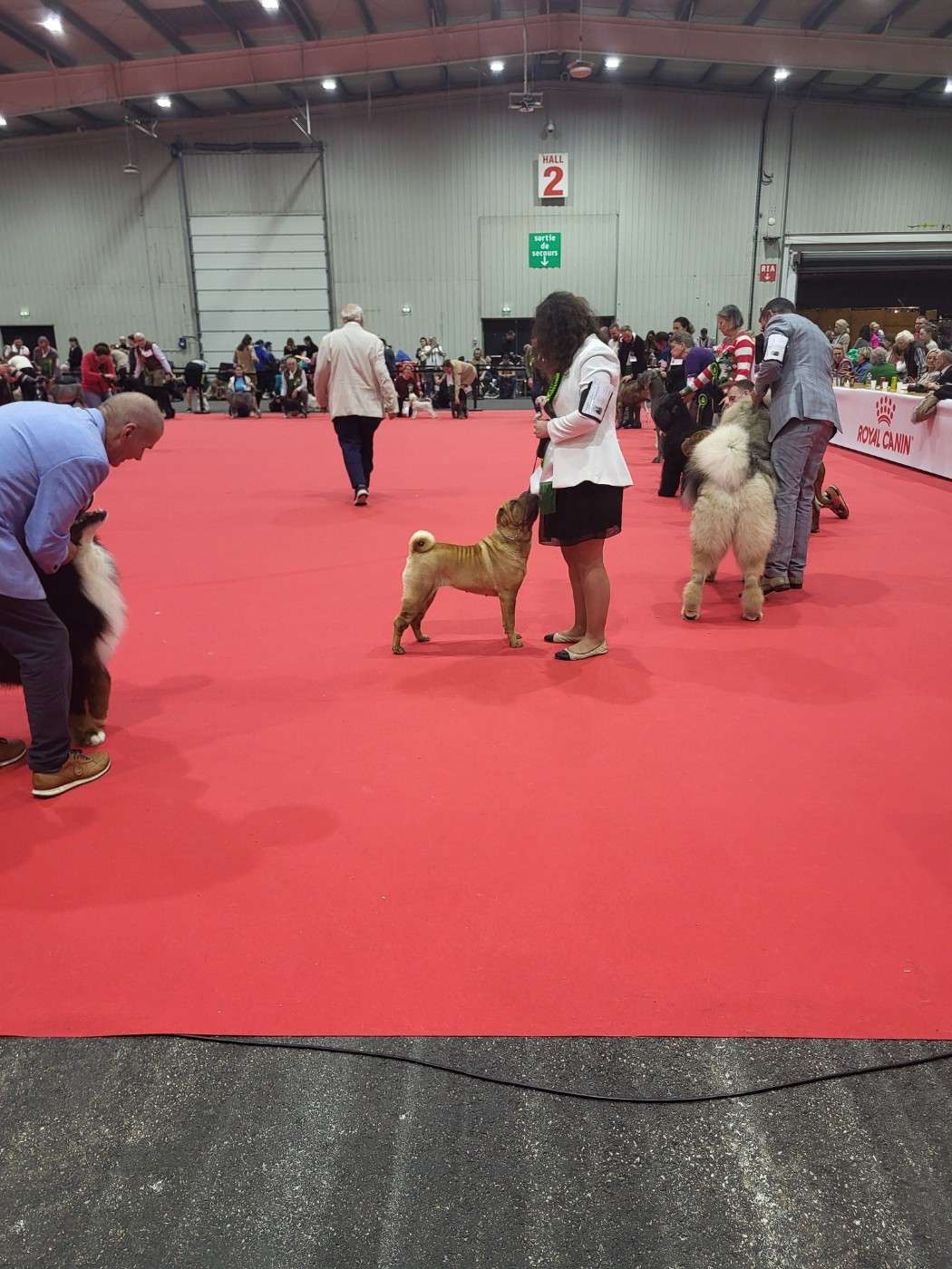 Dernière exposition 2025 ROUEN