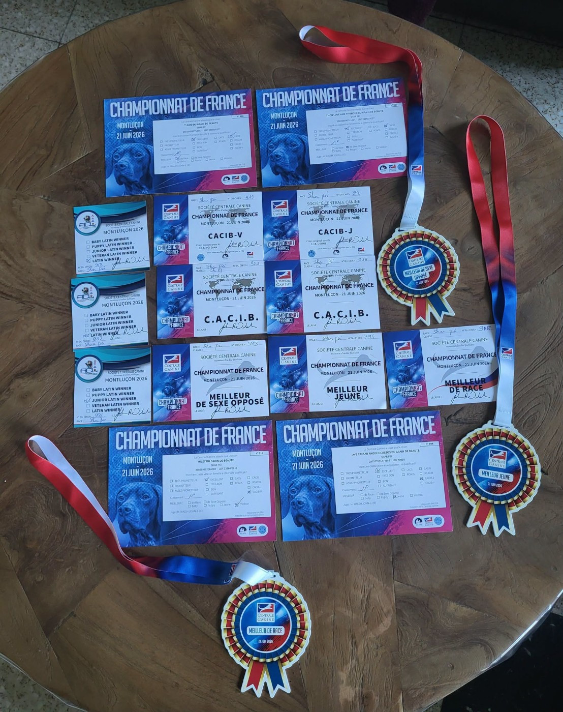 CHAMPIONNAT DE FRANCE 2026